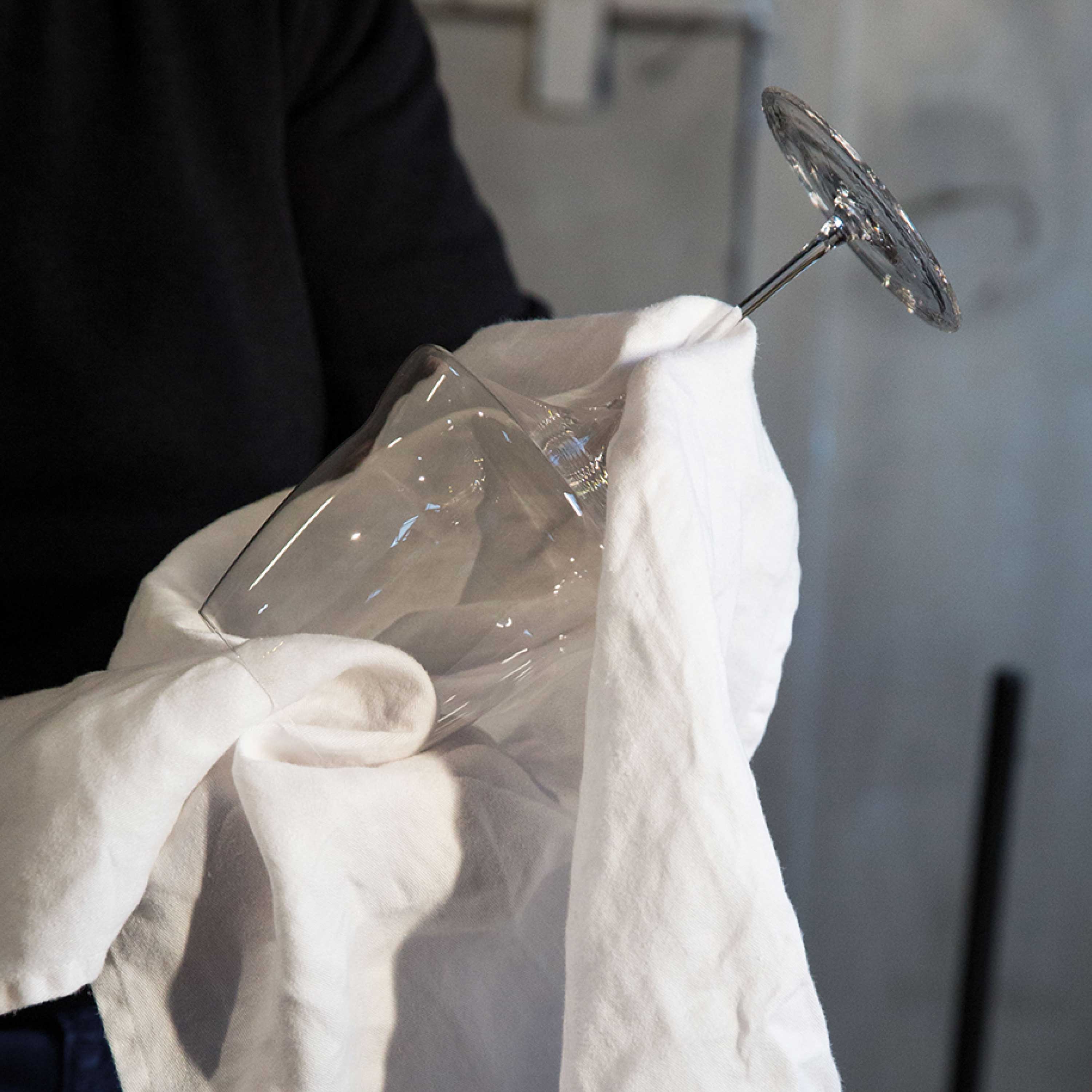 Care set: Linen Cloth and Brush